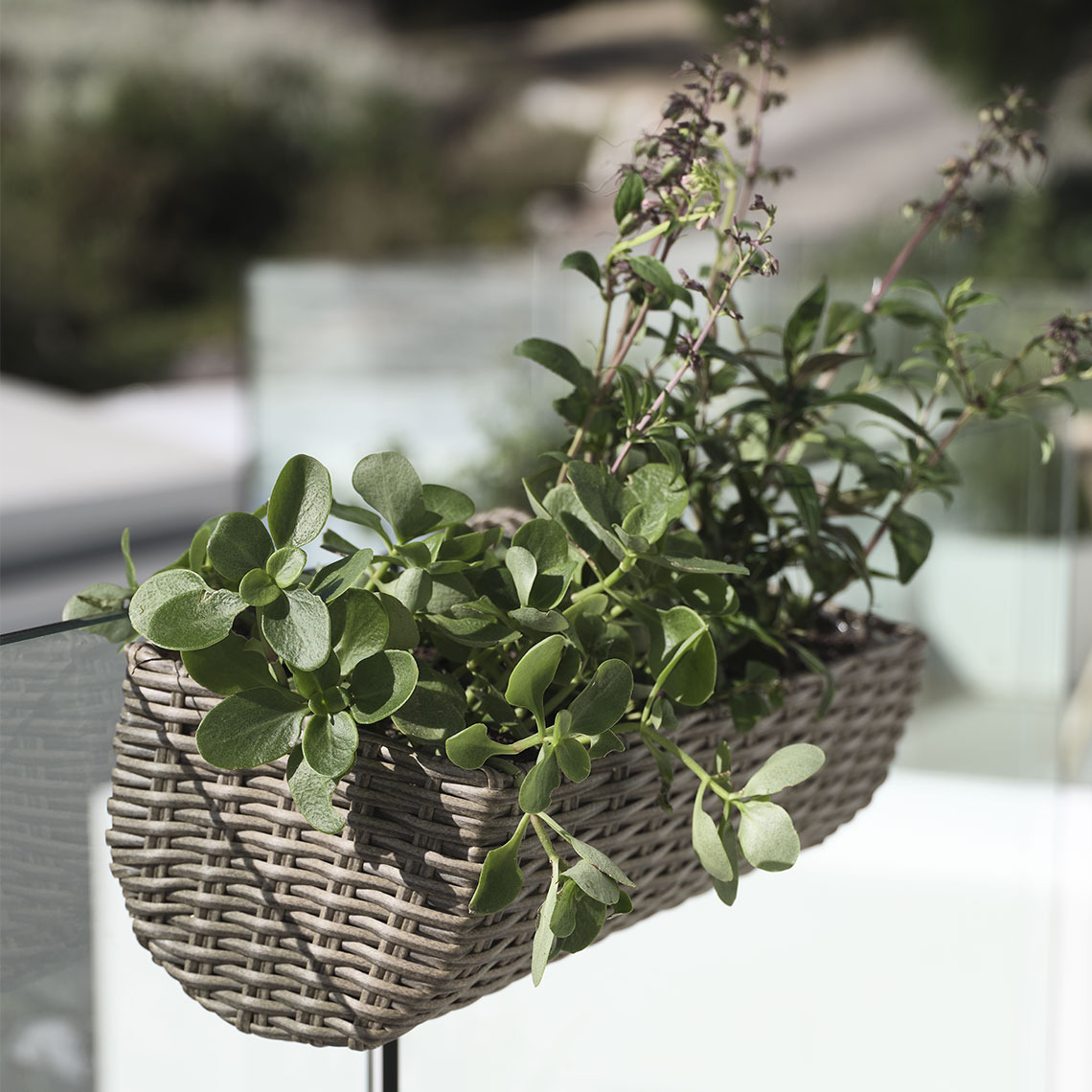 STEINTROST balkon bloembak Balkon bloembak van polyrotan hangend op een balkon met planten