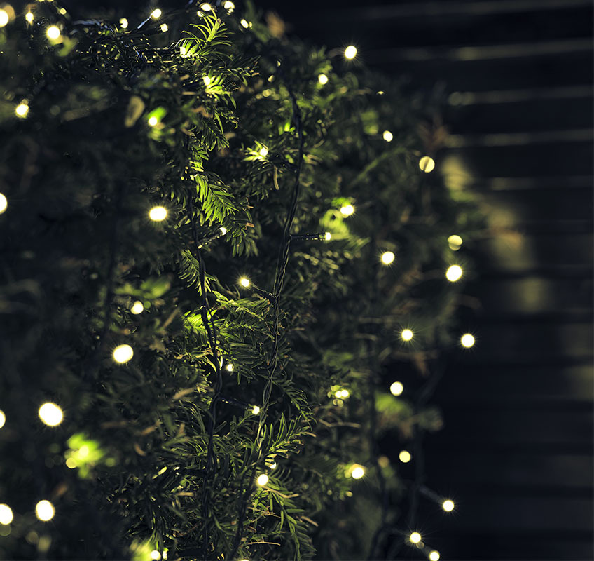 ELDE string lights komen in veel verschillende aantallen LED-lampjes Lichtsnoer op sparrentak